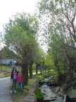 Wilkowice