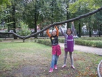 Plac Pod Lipami