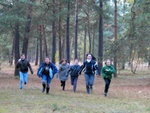 Leśniów- zbieramy szyszki