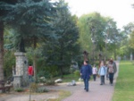 Leśniów
