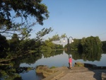 Nad sadzawką